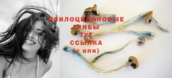 a pvp Сафоново