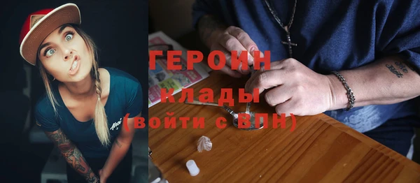 твердый Тайга