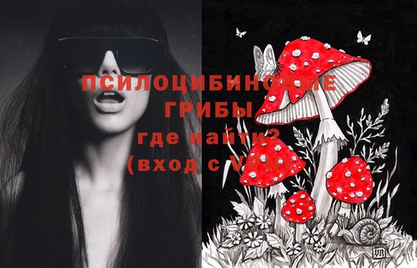 МДПВ Лиски