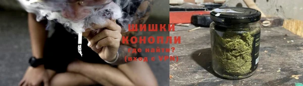МДПВ Лиски