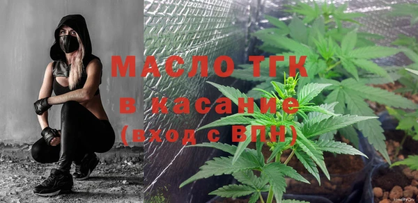 хмурый Липки
