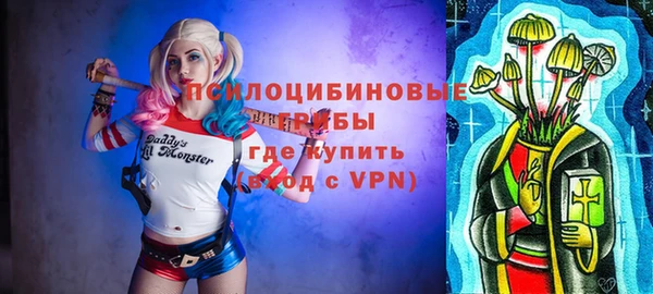 прущие грибы Кулебаки