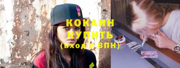 спайс Ладушкин