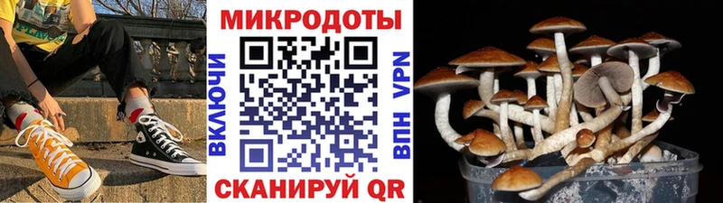 Псилоцибиновые грибы Psilocybe  купить наркотики сайты  Чердынь 