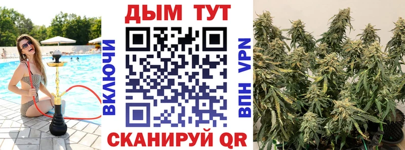 darknet Telegram Чердынь Конопля марихуана